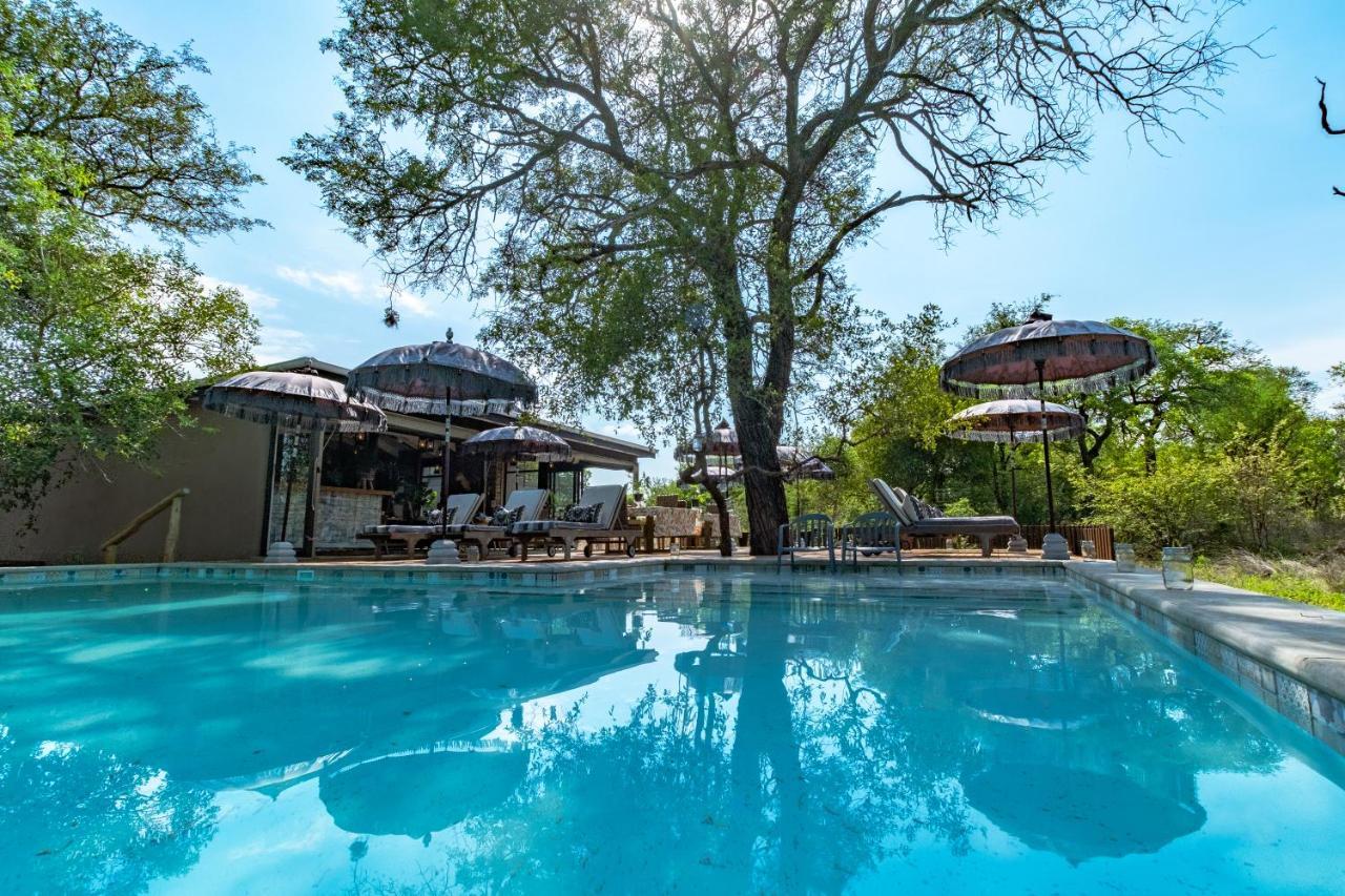 Safari Moon Luxury Bush Lodge Hoedspruit Kültér fotó