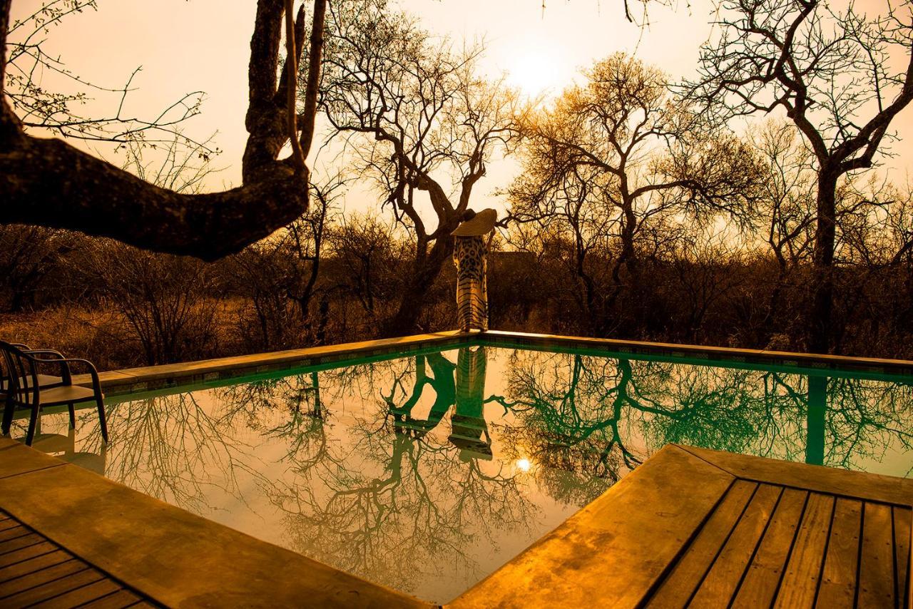 Safari Moon Luxury Bush Lodge Hoedspruit Kültér fotó